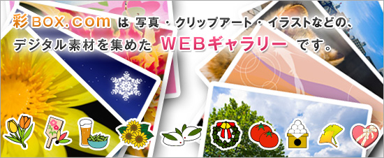 彩BOX.com